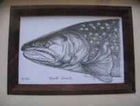 Framed Bull Trout Lithograph