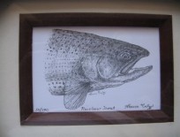 Framed Rainbow Trout Lithograph