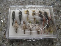 Stonefly Life Cycle Collection
