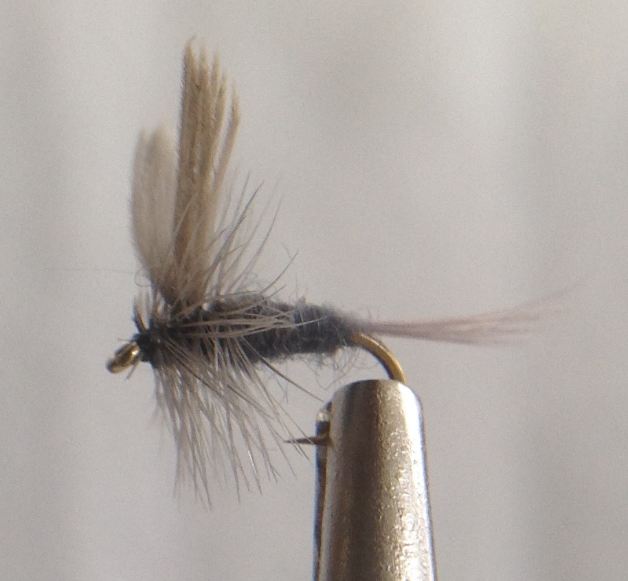 Blue Dun - $1.50 : Glenbow Flyfishing, Fine Fly Fishing Flies ...