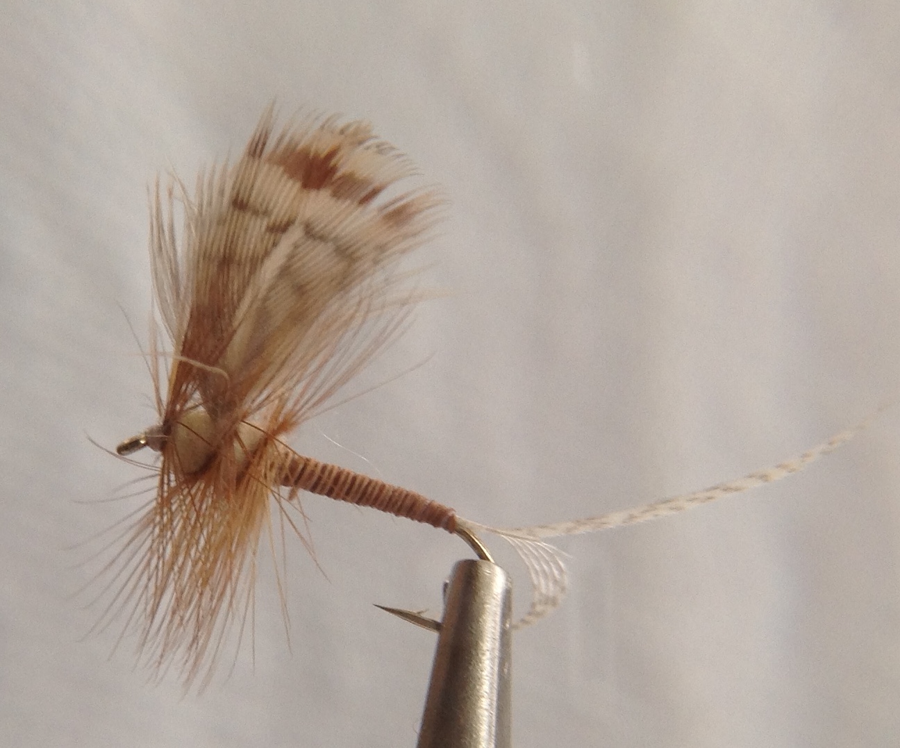 Brown Drake, Spinner -Size 12 - $1.50 : Glenbow Flyfishing, Fine Fly ...