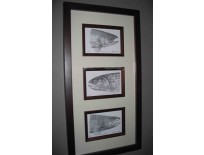 Triple Framed Trout Lithographs